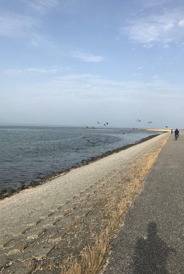 Haus Gorch Fock Daire Neuharlingersiel Dış mekan fotoğraf